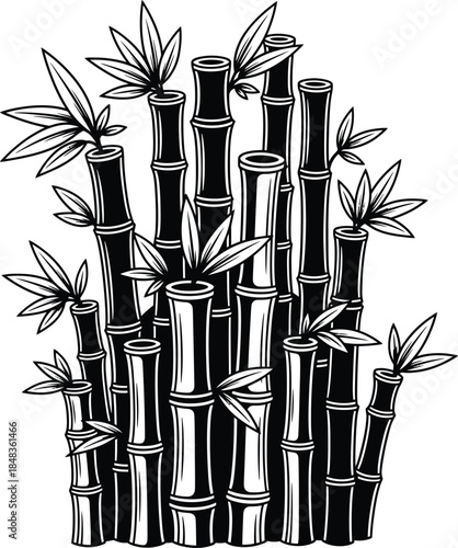 A detailed black and white woodcut style illustration of a dense bamboo grove with segmented stalks and leaves.