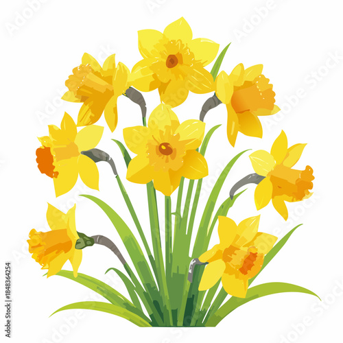 Bunch of yellow daffodils with green leaves
