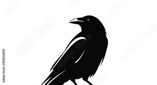 A striking black silhouette of a crow or raven perched and looking to the side, isolated on a clean white background for a dramatic effect.