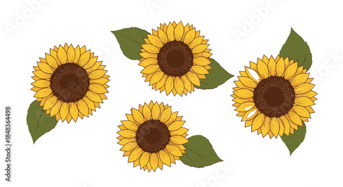 A beautiful set of four hand-drawn yellow sunflowers with green leaves, illustrated in a charming and slightly rustic vintage style.