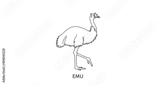 A simple black and white line art illustration of an Emu, a large flightless bird native to Australia, with text below.