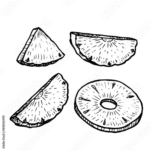 Pineapple slice set. Tropical ananas chunks and rings isolated, retro food vector illustration, sweet dessert elements for cooking and summer menu design.
