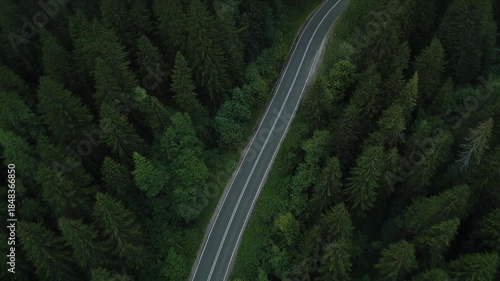 Aerial top view, mountaint road in dark green forest