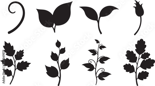 Black silhouettes of various leaves and stems on white