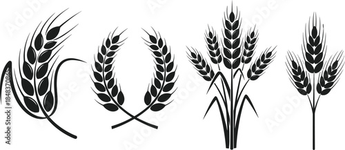 Black Wheat Ears and Grain Stalks Vector Illustration, Including Wreath and Sheaf Designs, Excellent for Bakery Logos, Agriculture, and Harvest Festival Graphics