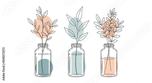 Collection of minimalist compositions with hand-drawn branches in glass jars, decorated with abstract pastel shapes for a modern aesthetic.