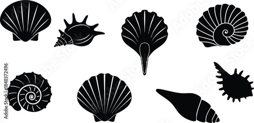 Sea shell silhouettes collection with marine shapes. Black shell icons including scallop and spiral forms.