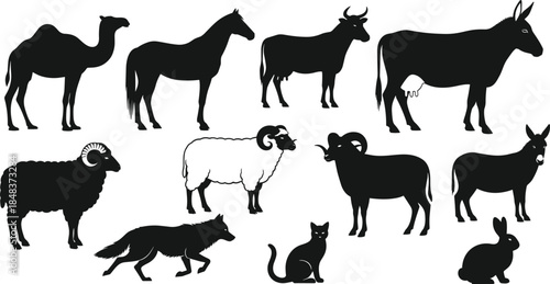 Farm animal silhouettes vector set including cow, goat, sheep, camel, horse, donkey, ram, fox, cat, rabbit, isolated black illustration