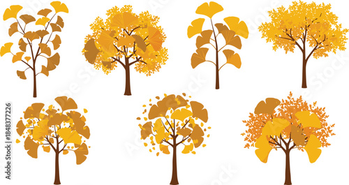 Beautiful autumn ginkgo trees illustration with golden yellow leaves, seasonal fall foliage vector design perfect for botanical, decorative, and landscape projects.