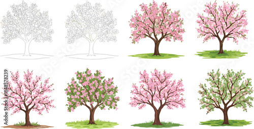 Beautiful cherry blossom tree vector illustration set with pink flowers, spring season design, botanical elements, and decorative floral artwork