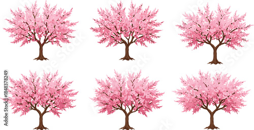 Beautiful cherry blossom tree vector illustration with pink flowers and lush branches, perfect for spring, floral, decorative, botanical, and seasonal designs.