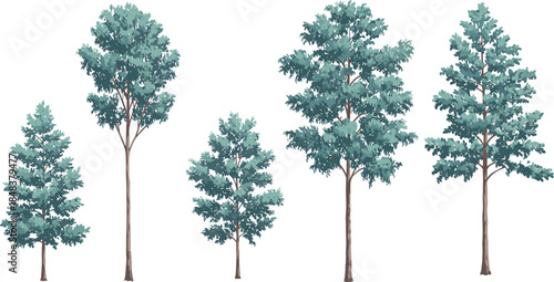 Beautiful green deciduous tree illustration set with five different natural styles, isolated on white background, perfect for landscaping and nature designs
