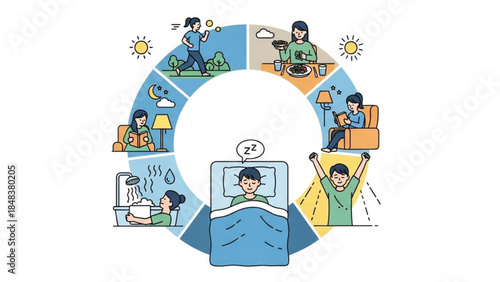 Daily routine circular diagram illustrating morning to night activities like waking up eating working and sleeping perfect for health and lifestyle concepts