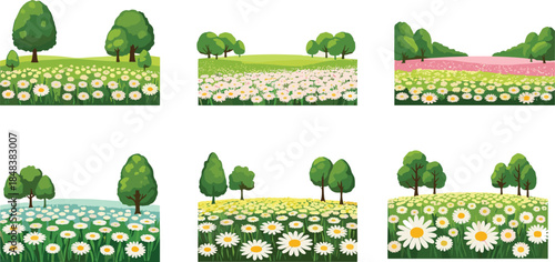 Beautiful spring meadow field with blooming daisies and green trees vector illustration for floral nature landscape, outdoor scenery, and botanical design