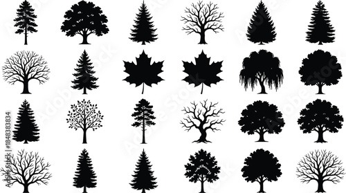 Tree silhouette collection, deciduous and evergreen forest shapes isolated on white background vector illustration nature design elements set artwork pack
