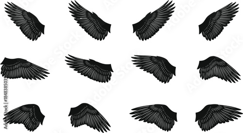 Black bird wings silhouette collection, flying feathered wings set isolated on white background vector illustration for tattoo, logo, emblem design