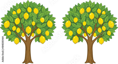 Lemon tree vector illustration pair, ripe yellow citrus fruits on lush green foliage, flat botanical design, isolated garden trees on white background