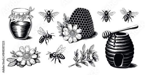 Hand drawn honey and beekeeping collection with a jar, bees, hive, and honeycomb for organic food packaging and apiary branding.