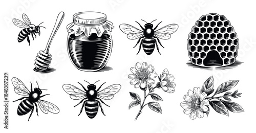 Hand drawn collection of honey and beekeeping elements with bees, a beehive, and flowers for natural product branding and packaging