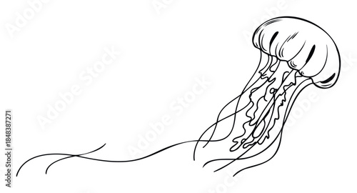 A simple black and white line drawing of a swimming jellyfish with flowing tentacles is great for a minimalist tattoo design or ocean themed branding.