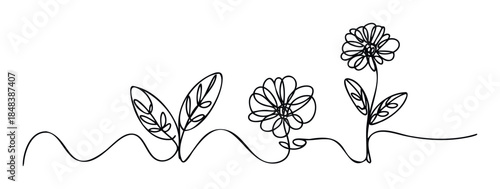 Minimalist one line drawing of growing flowers and plants, an elegant sketch for nature themed decoration, branding, or organic product packaging.