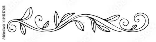 Black and white floral scroll divider with elegant leaves and swirls, a hand drawn ornamental flourish for classic graphic compositions and invitations.