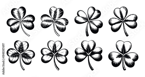 Collection of hand drawn three leaf clovers in a vintage engraved style perfect for St Patricks Day decorations or good luck symbols