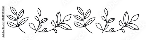 Hand drawn foliage vine with simple leaves in a minimalist line style perfect for creating elegant borders and decorative dividers.