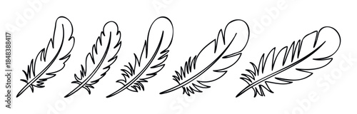 A set of hand drawn feather doodles in a minimalist black line art style perfect for bohemian decorations or simple logo icons.