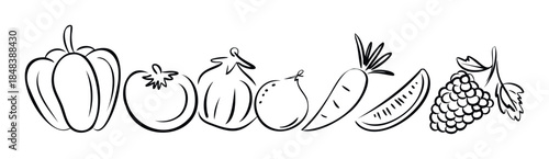 Hand drawn sketch of various fresh vegetables and fruits in a row including pepper tomato and grapes for healthy eating concepts and minimalist food logos.