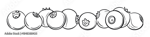 Simple black and white line drawing of a row of fresh organic blueberries for a minimalist food illustration or a healthy eating coloring page.