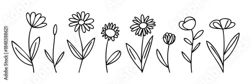 Minimalist botanical collection of hand drawn wildflowers and daisies in a simple line style perfect for elegant floral decoration and nature inspired graphics.
