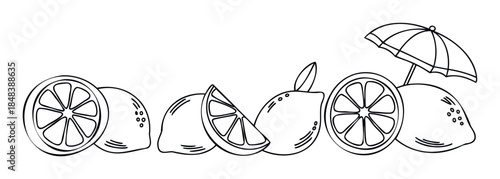 Hand drawn lemon fruit border with slices and a cocktail umbrella for summer beverage menus or coloring pages