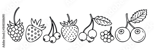 Hand drawn collection of various berries in a simple outline style featuring strawberry raspberry and cherry for healthy eating concepts and food packaging