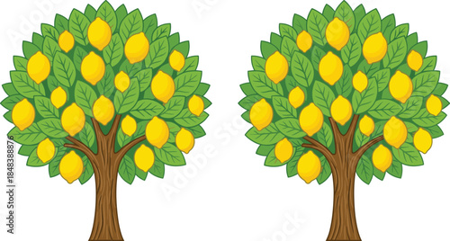 Lemon tree vector illustration set, ripe yellow citrus fruits on green foliage, symmetrical garden trees, flat design isolated on white background