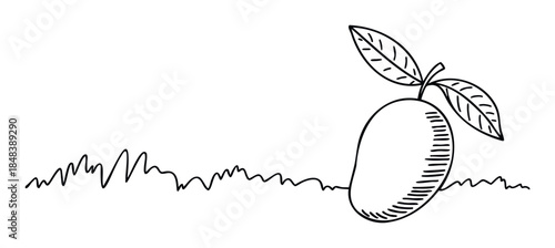 Hand drawn sketch of a single ripe mango with leaves sitting in wavy grass, perfect for food and agriculture related projects.