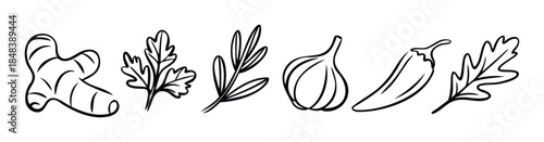 Collection of organic ingredients including ginger, parsley, garlic, and chili pepper for healthy cooking and culinary presentations