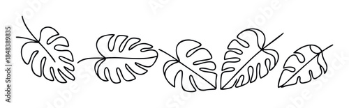 Delicate hand drawn black line art monstera leaves arranged in a flowing horizontal border for natural tropical ambiance in modern decor projects and summer branding.