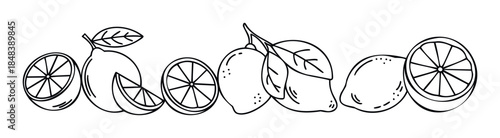Hand drawn outline style lemons and slices arranged in a horizontal border composition for refreshing citrus themed projects and summer beverages.