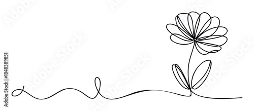 Single line drawing of a delicate flower with leaves and a flowing stem, perfect for organic branding or natural product promotion