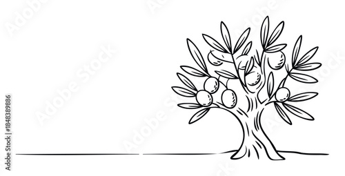 Simple line drawing of a single olive tree with fruit and leaves on a ground line, representing nature and healthy eating for various projects.