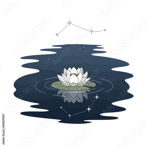 White Lotus Flower Floating on Dark Water with Star Reflections.