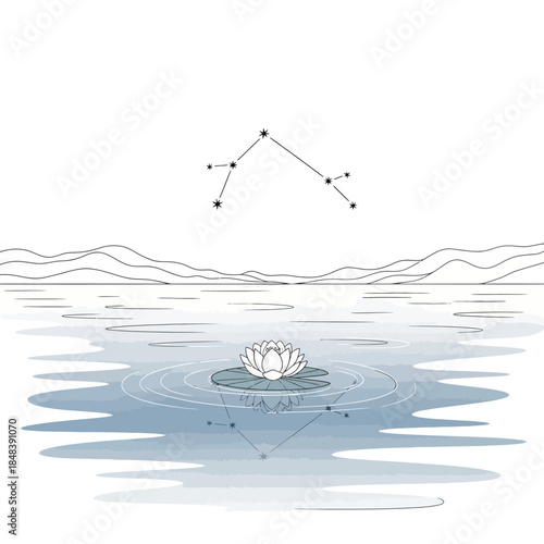 A single white water lily floats serenely on rippling water under a constellation.