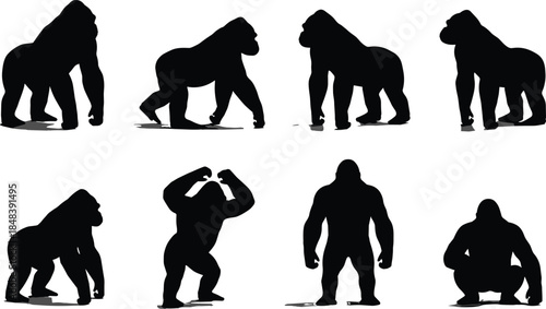 Gorilla silhouettes collection, powerful wild ape poses, animal strength concept, isolated black vector illustration design for wildlife nature branding graphics