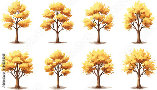 Autumn deciduous tree collection with golden yellow foliage illustration isolated on white background for seasonal landscape and nature design