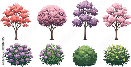 Flowering trees and shrubs collection illustration with colorful blossoms isolated on white background for garden landscape design concepts