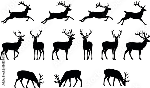 Silhouettes of deer in jumping, standing, and grazing poses, wildlife posture variety – flavector