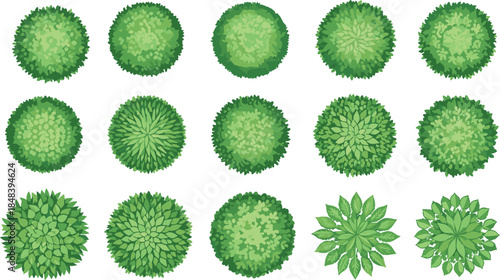 Top view green bushes and shrubs collection illustration, isolated on white background, for landscape design, garden planning, botanical textures