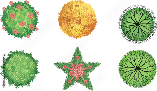 Top view decorative garden bushes and shrubs shapes illustration, isolated on white background, for landscape design, botanical patterns, and planning