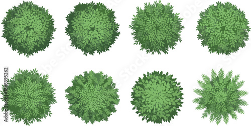 Top view green bushes and shrub foliage textures collection illustration isolated on white background for landscape design and garden planning